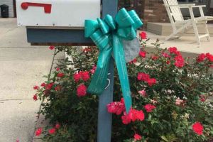 Blissfield Michigan Mailbox Teal Ribbon