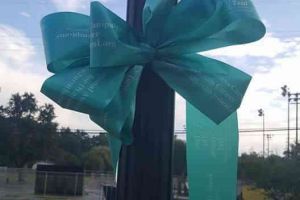 Blissfield Michigan Post Teal Ribbon