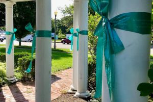 Brighton NY Teal Pillars