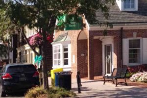 Delaware Ovarian Cancer Foundation Lewes Delaware Ribbon On Tree