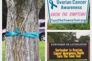 Livingston NJ Teal Awareness