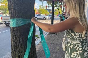 New-York-Pittsford-02