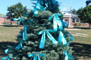 Pembroke MA Evergreen Teal Ribbons