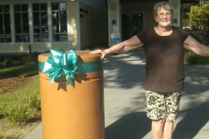 Summerville SC Woman Tealed Pillar