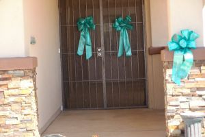 Sun City Teal Ribbon Door