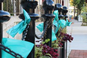 Allentown Nj Ribbon Chain Fence